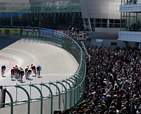 大勢のファンが詰めかける静岡競輪