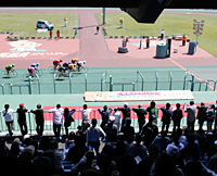 白熱のレースに観衆が詰めかける