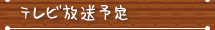 テレビ放送予定