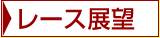 レース展望
