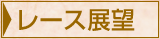 レース展望