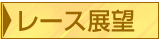 レース展望