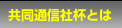 共同通信社杯とは