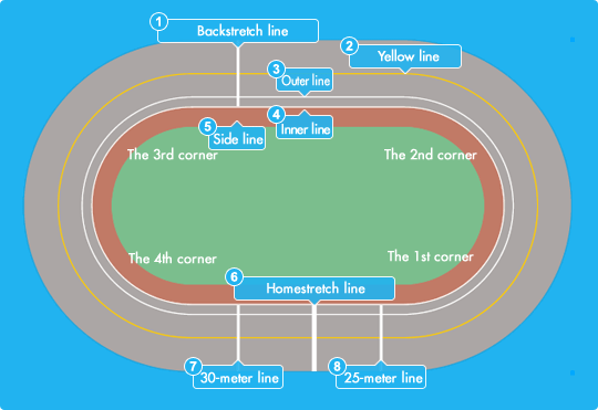 Track features 